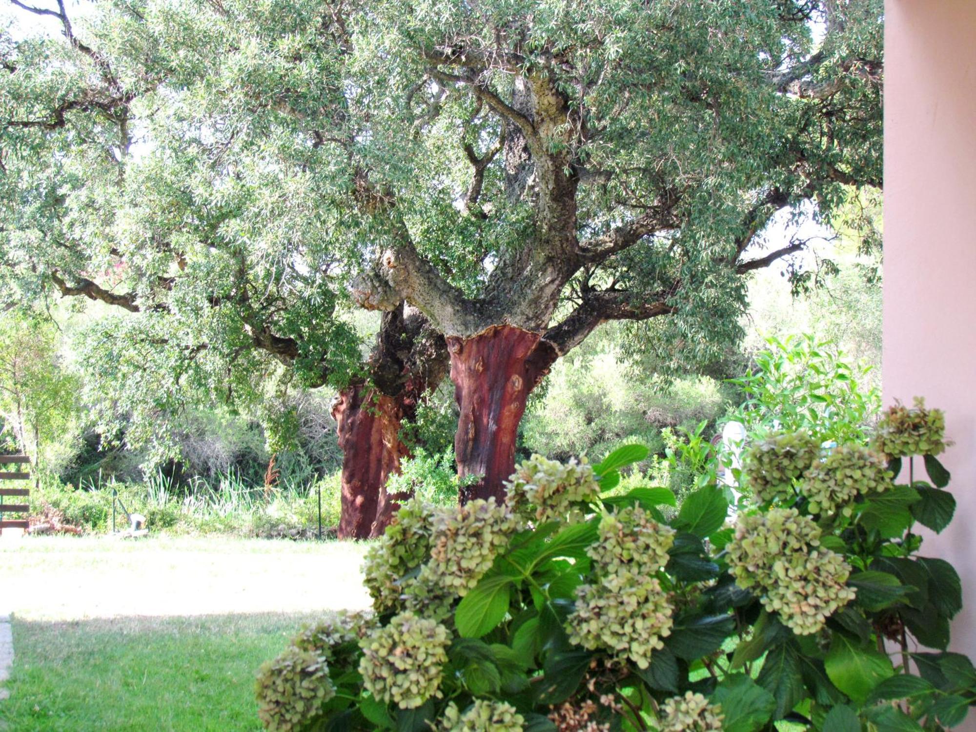 Hotel Li Suari Club Village San Teodoro (Sardinia)