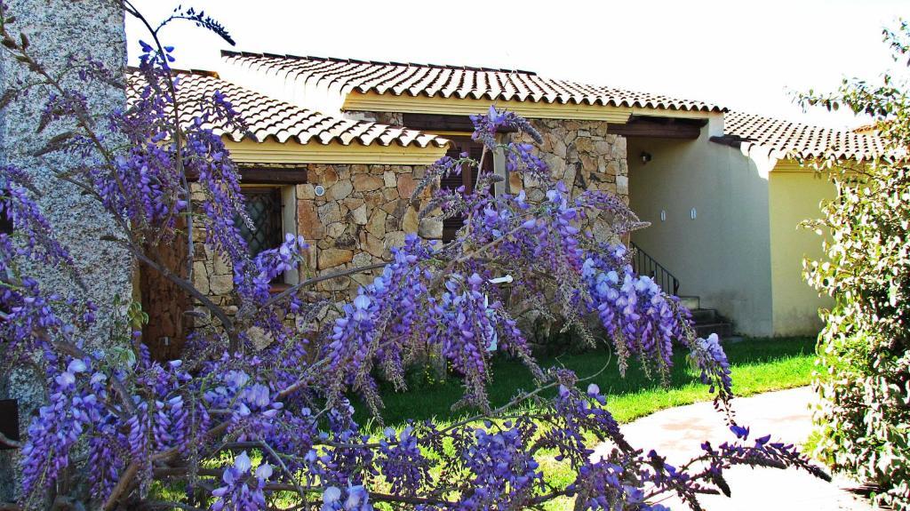 Li Suari Club Village 4*