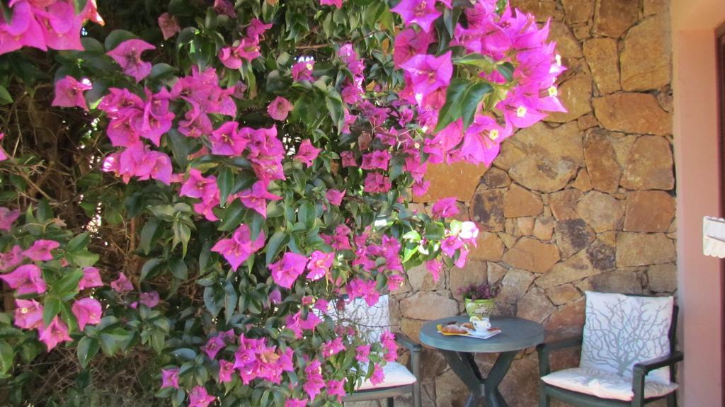 Li Suari Club Village Hotel San Teodoro (Sardinia)
